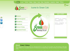 Green Celsius